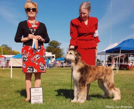 sensei-6-m-birthday-bob_