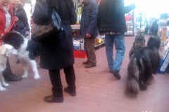 Hurry on!!! We know where the pig ears to buy!