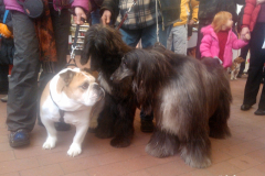 Hello, nice to meet you!