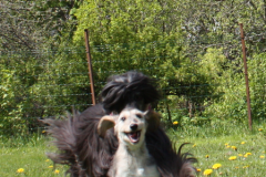 lilli_img_5116