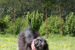 lilli_img_5130