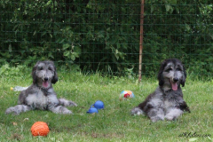 fun_img_6012-boys