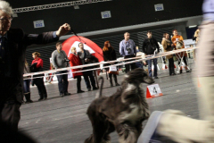 Al Khabara Graceful Me 