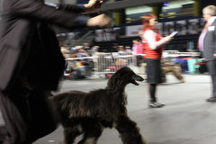 Al Khabara Graceful Me 